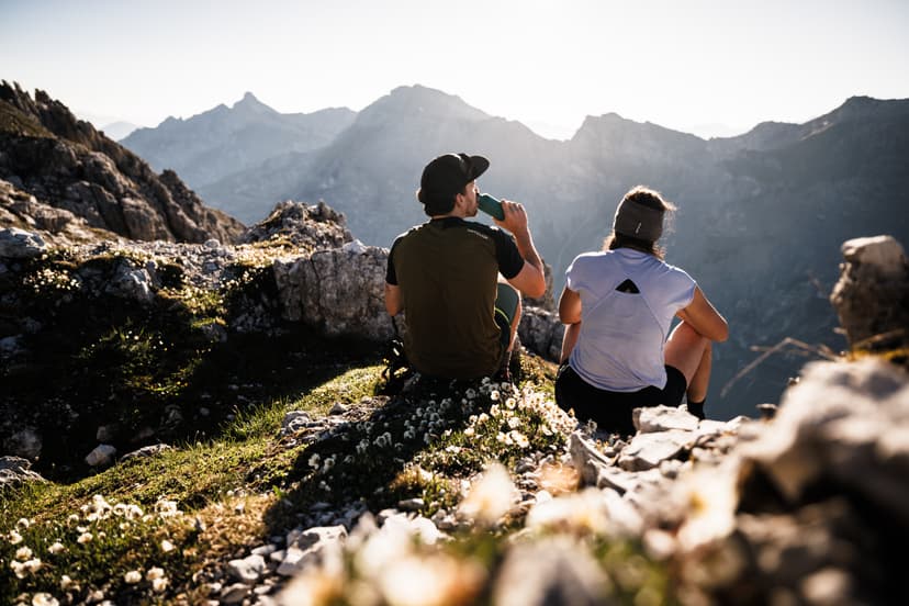 Panoramic view across the Stubai Alps